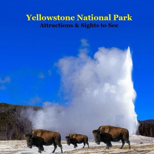 Yellowstone Park Attractions and Sights to See Kids Book Great Book for Kids about Yellowstone National Park