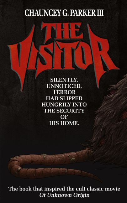 The Visitor