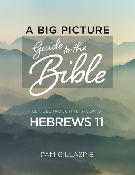 A Big Picture Guide to the Bible: A Flexible Inductive Study of Hebrews 11