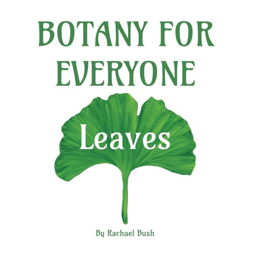 Botany for Everyone Leaves