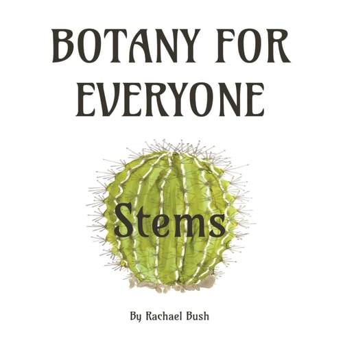 Botany for Everyone Stems