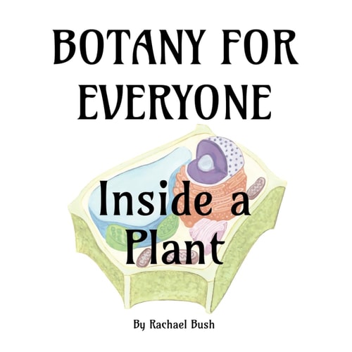 Botany for Everyone Inside a Plant