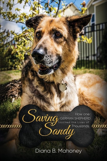 Saving Sandy