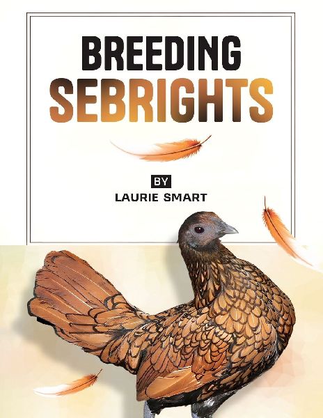 Some of The Rules for Breeding Sebrights 2025 REV 34