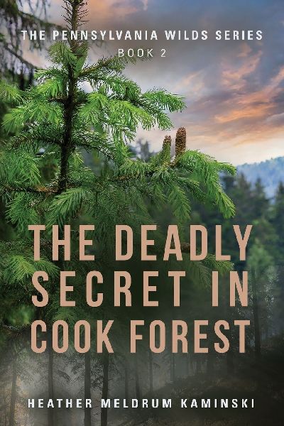 The Deadly Secret in Cook Forest: The Pennsylvania Wilds Series - Book 2