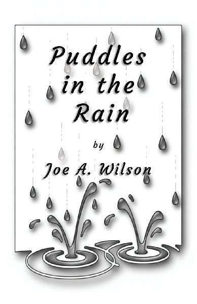Puddles in the Rain