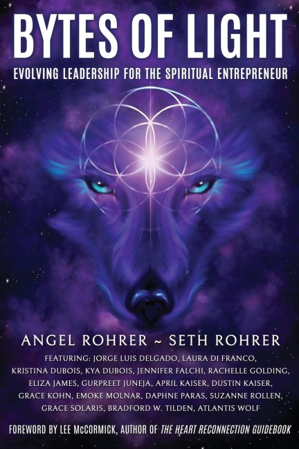 Bytes of Light: Evolving Leadership for the Spiritual Entrepreneur
