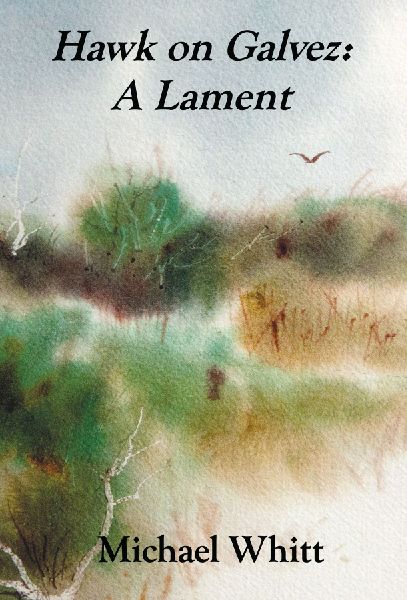 Hawk on Galvez: A Lament
