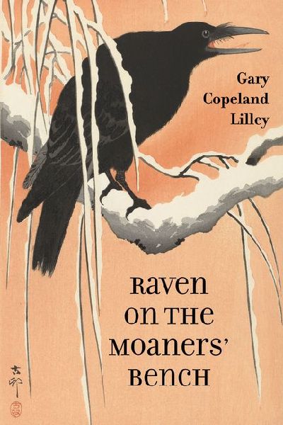 Raven on the Moaners Bench