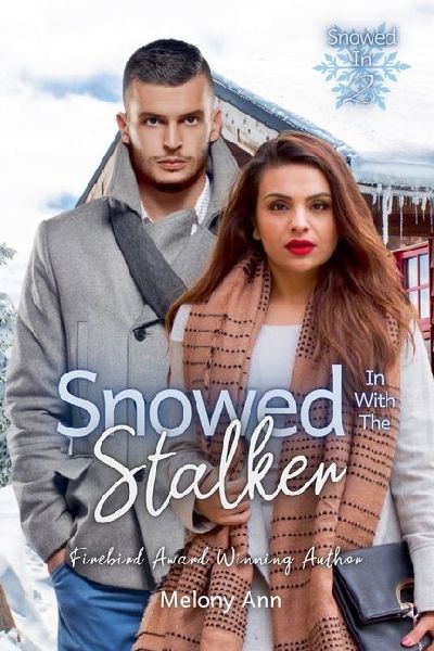 Snowed In With The Stalker