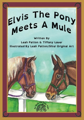 Elvis the Pony Meets a Mule