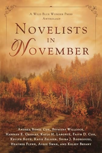 Novelists in November A Wild Blue Wonder Press Anthology