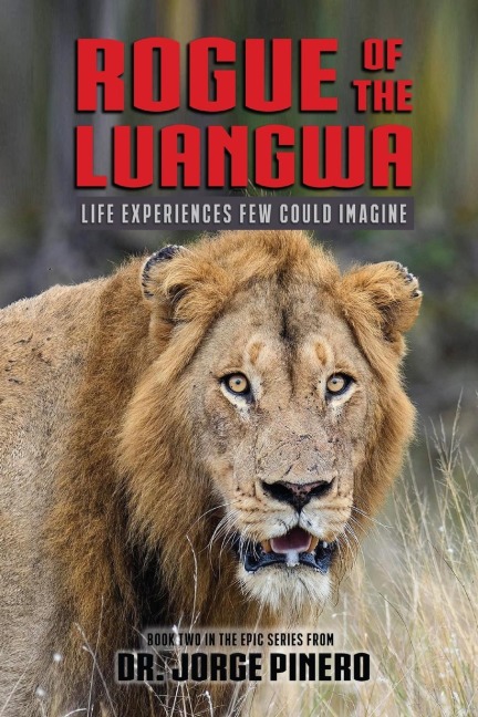 Rogue of the Lua: Llife Experienced Few Could Imagine
