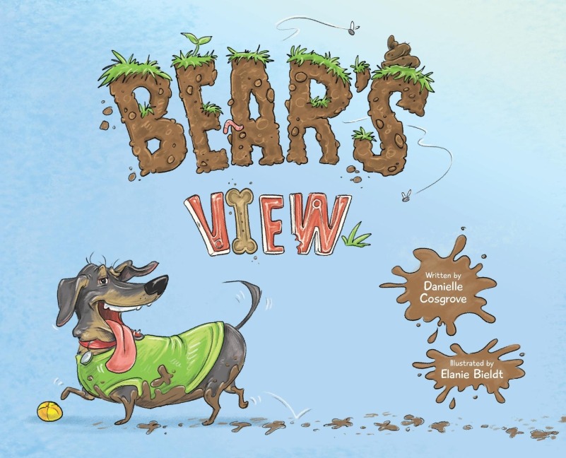 Bears View