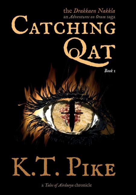 Catching Qat: A Found Family Epic Fantasy Adventure for TTRPG Fans