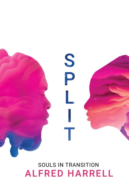 SPLIT: Souls in Transition