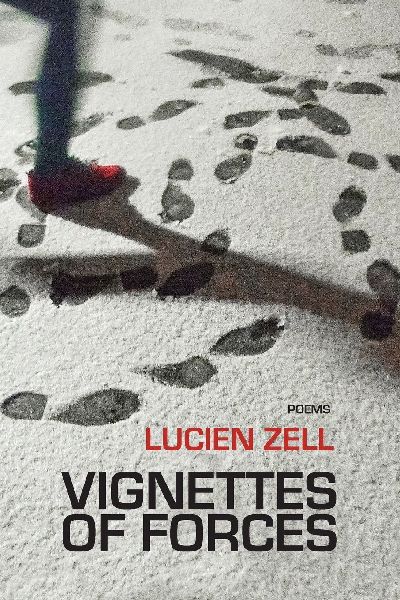 Vignettes of Forces: poems