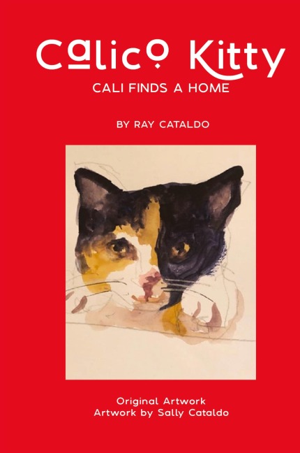 CALICO KITTY: CALI FINDS A HOME