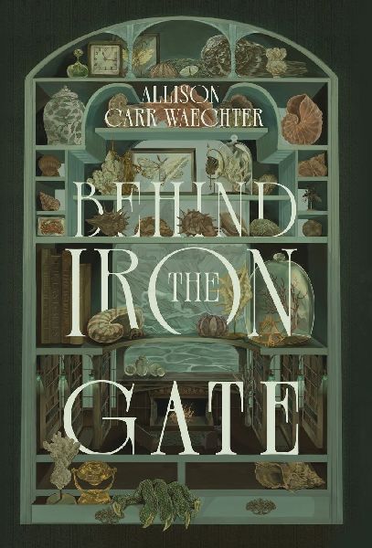 Behind the Iron Gate