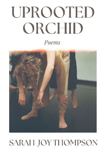 Uprooted Orchid