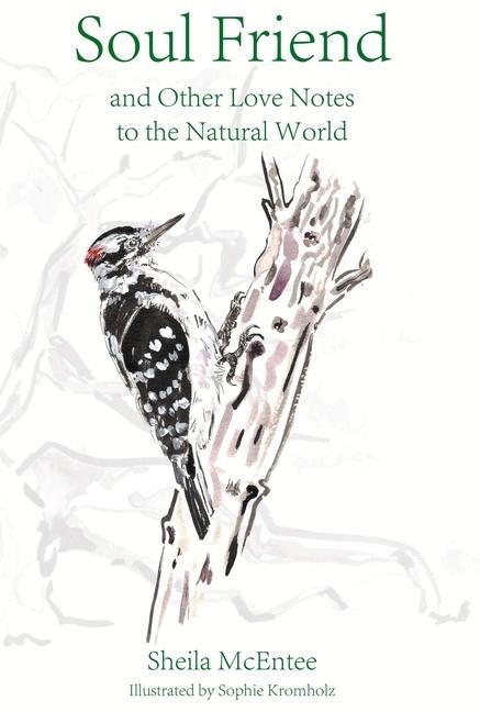 Soul Friend: And Other Love Notes to the Natural World