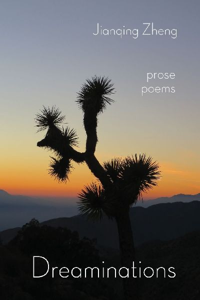 Dreaminations: Prose Poems