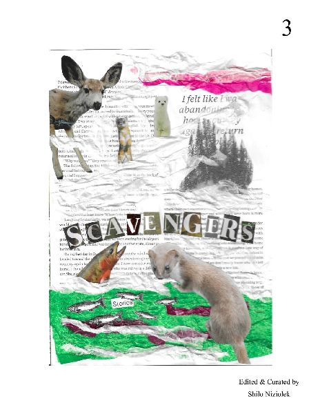 Scavengers 3