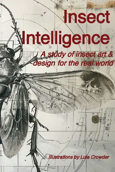 Insect Intelligence: An Illustrated Study of Insect Art and Design for the Real World