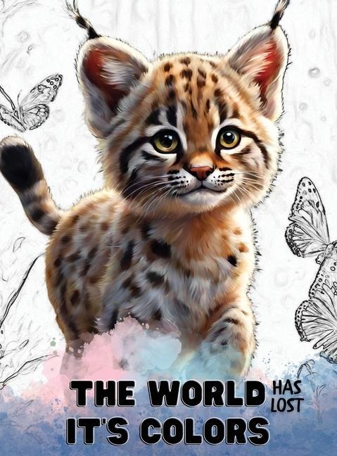 The world has lost its colors: A Christian book for kids