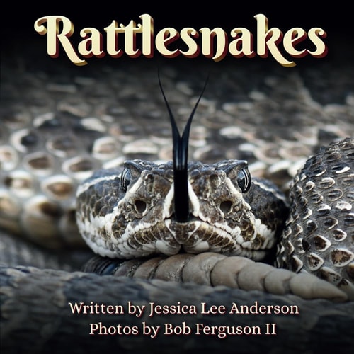 Rattlesnakes