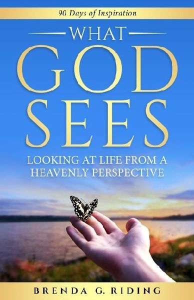 What God Sees: Looking at Life from a Heavenly Perspective