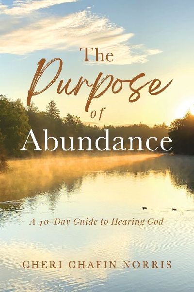 The Purpose of Abundance: A 40-Day Guide to Hearing God