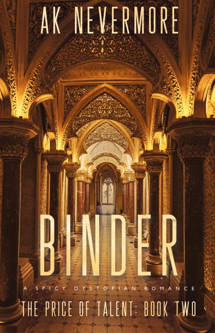 Binder: A Spicy Dystopian Romance