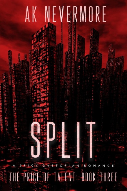 Split: A Spicy Dystopian Romance
