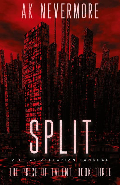 Split: A Spicy Dystopian Romance