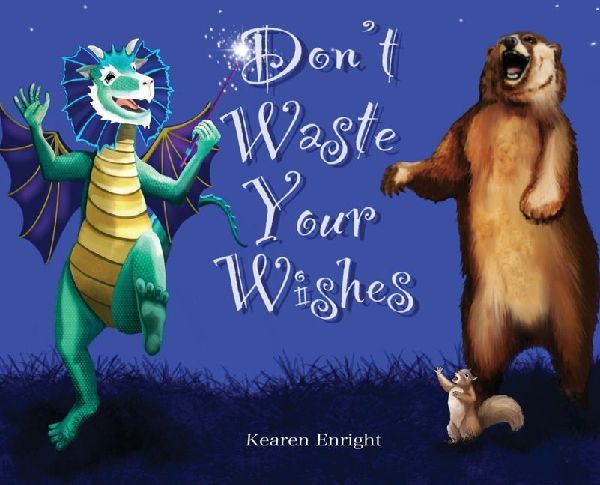 Dont Waste Your Wishes