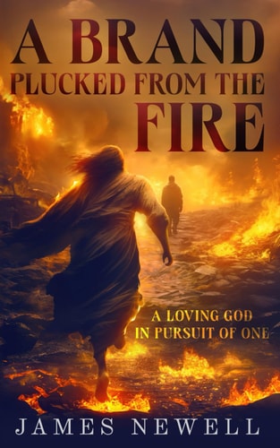 A Brand Plucked From the Fire A Loving God in Pursuit of One