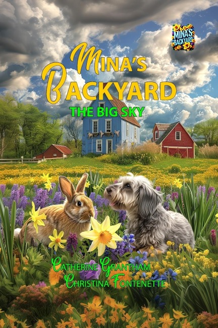 Minas Backyard - The Big Sky