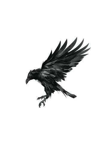 Murder of Crows