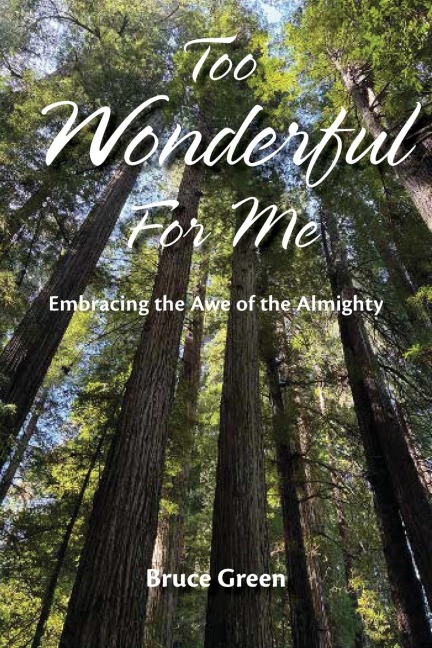 Too Wonderful for Me: Embracing the Awe of the Almighty