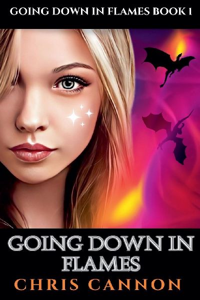 Going Down In Flames