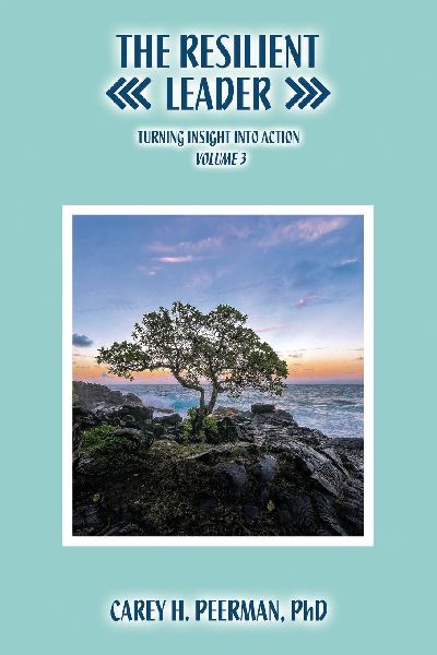 The Resilient Leader: Turning Insights into Action