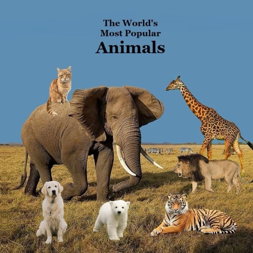 The World's Most Popular Animals Children's Book Great Book for Kids About the Animals of the World