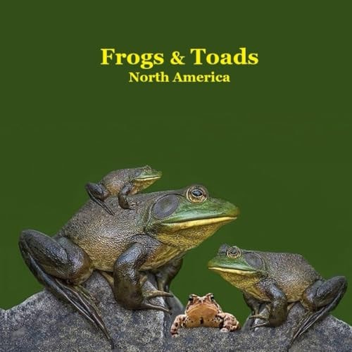 Frogs and Toads of North America Kids Book Great Children's Book about the Types of North American Frogs and Toads