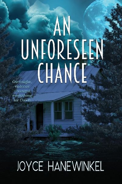 An Unforeseen Chance: A Novel