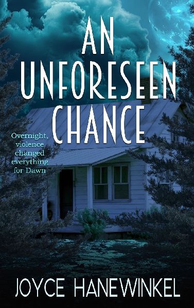 An Unforeseen Chance: A Novel