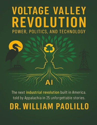 Voltage Valley Revolution Power, Politics and Technology