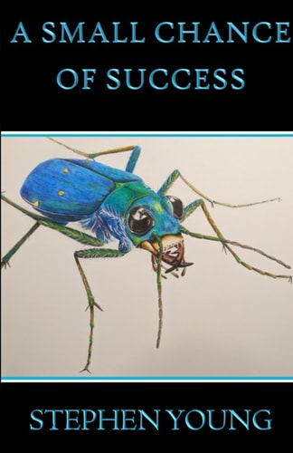 A Small Chance of Success
