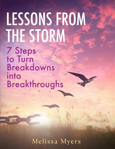 Lessons from the Storm 7 Steps to Turn Breakdowns Into Breakthroughs