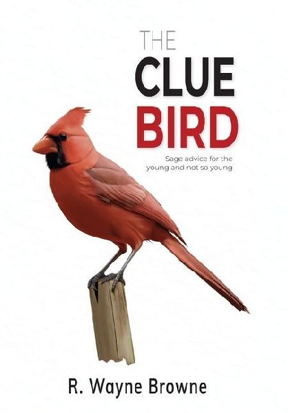The Clue Bird
